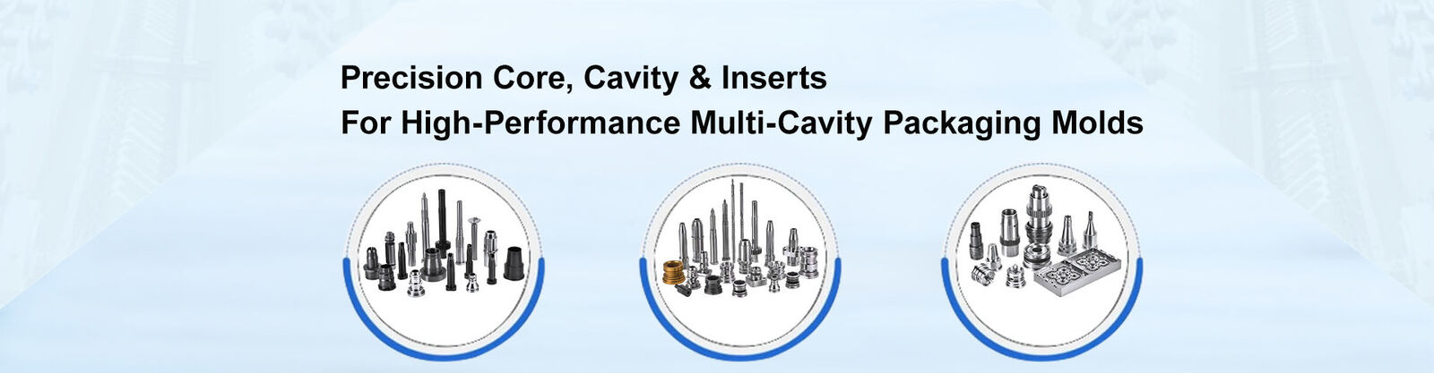 Các thành phần khuôn chính xác