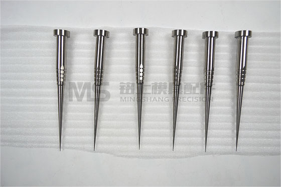 Các chân lõi nấm mốc cấp y tế.